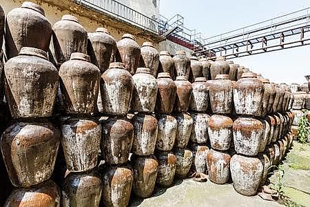 Producción y destilación de etanol