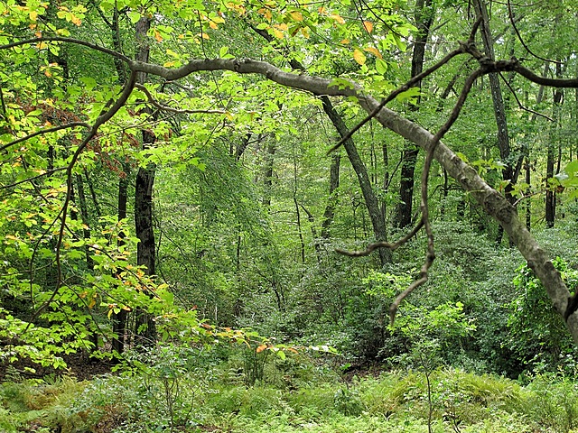 Jocasta gives the baby to the servant