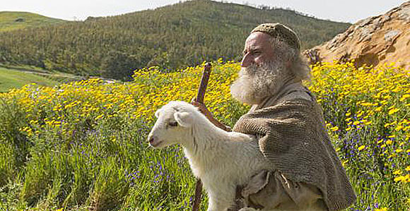 Servant gives baby to shepard