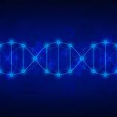 Timeline: Antecedentes de la Genética