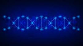 Timeline: Antecedentes de la Genética