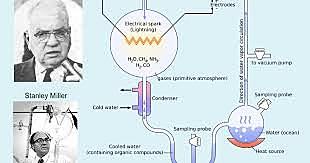 EXPERIMENTO DE UREY Y MILLER