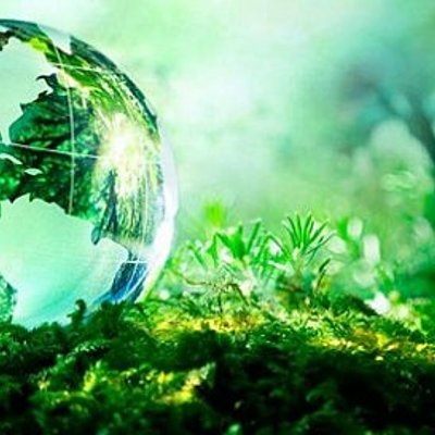 Timeline: MEDIO AMBIENTE