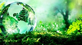 Timeline: MEDIO AMBIENTE