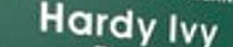 Hardy Ivy was first permanent settler