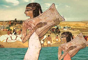 Nueva Edad de Piedra