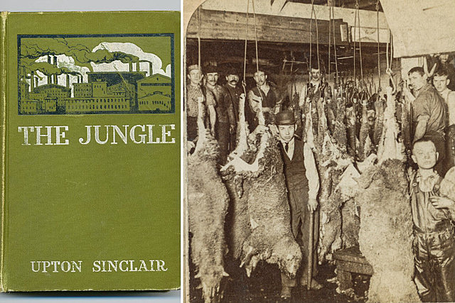 The Jungle Published