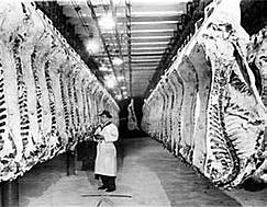 Federal Meat Inspection Act