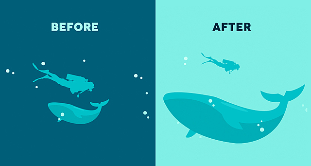 1. Visual Hierarchy (picture)