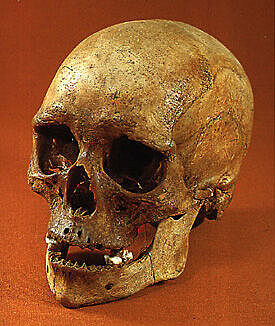 De man van Koelbjerg