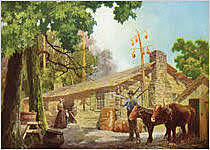 Hardy lvy was first permanent settler