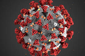 Vaig estar confinada 4 mesos