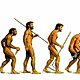 Evolucion