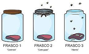 Experimentos sobre el origen de la vida de F. Redi