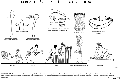 NEOLITICO 3.000 - 6.000 ac