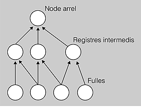 Model base de dades en xarxa