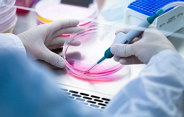 Tejidos humanos creados por la biotecnologia