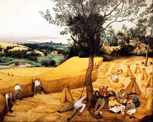 Agricultural Revolution Begins!