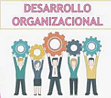 TEORÍA DEL DESARROLLO ORGANIZACIONAL.