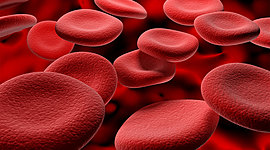 Timeline: Blood Timeline | Landon Higgins - Period 6