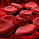 Human red blood cells