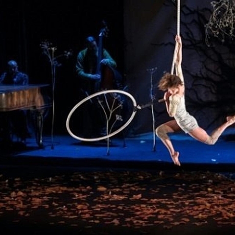 Cirque Plume, Francia