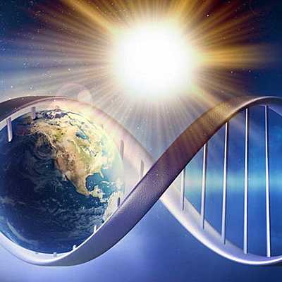 Timeline: Teorías del Origen de la Vida