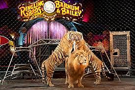Ringling Bros. And Barnum & Bailey Circus