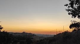 Timeline: LÍNIA DEL TEMPS