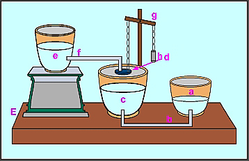 Dispensador de vino automático.
