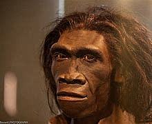 Homo estatus. Poblamiento de Europa