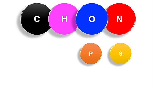 Componentes primarios de la comida