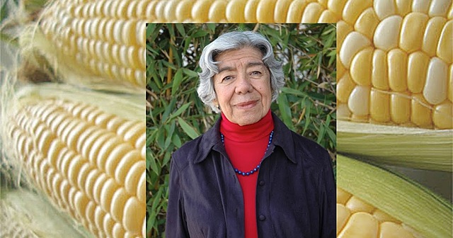 Maíz con calidad proteica (QPM)