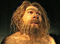 homo neanderthalensis