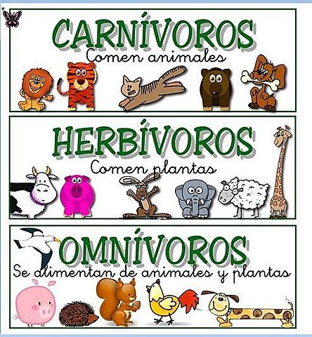 Nutrición heterótrofa