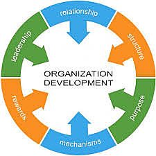 Organization Development