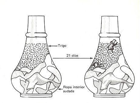 Generación Espontánea