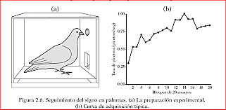 Brown y Jenkins realizan experimento de seguimiento de señales con Palomas