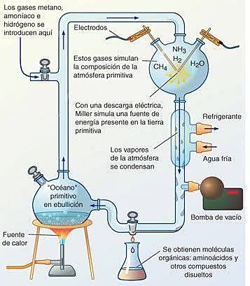 Experimentos de Urey y Miller