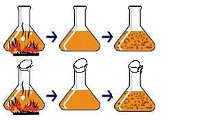 Experimentos sobre el origen de la vida de L. Spallanzani