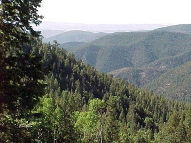 Fire danger shuts New Mexico forests