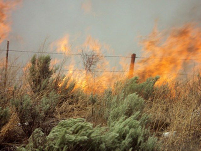 The Black WAter Draw Fire starts