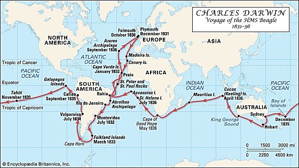 Charles Darwin 12 February 1809 - 19 April 1882