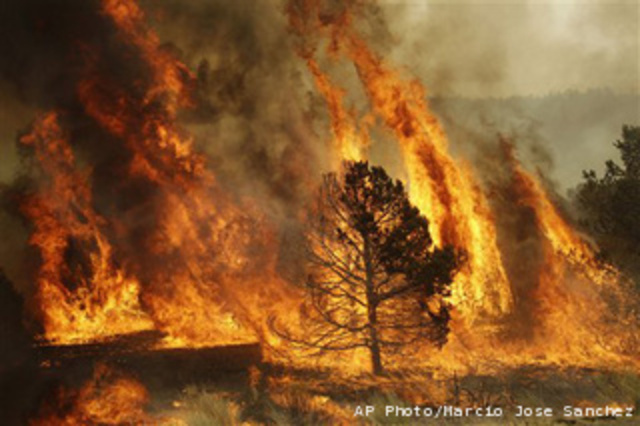 Arizona Wallow embers sparking fires in N.M.