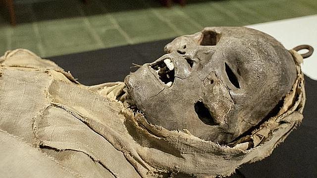 La viruela y la lepra en Egipto