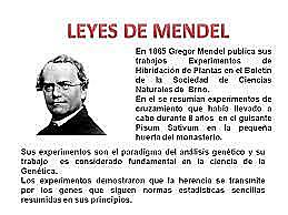 Gregor Mendel