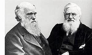 Teoría de la evolución por selección natural