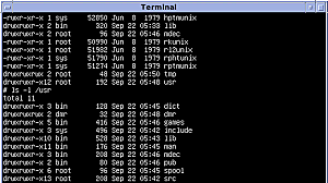 LAS PRIMERAS BASES DE LOS SO