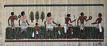 Topografia en Egipto