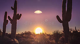 Timeline: Tec in the Dec 2010-2020